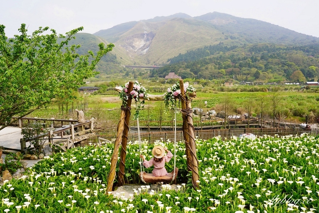 台北北投｜名陽匍休閒農莊，陽明山海芋季開始了，可愛粉紅噗噗車超好拍 @飛天璇的口袋