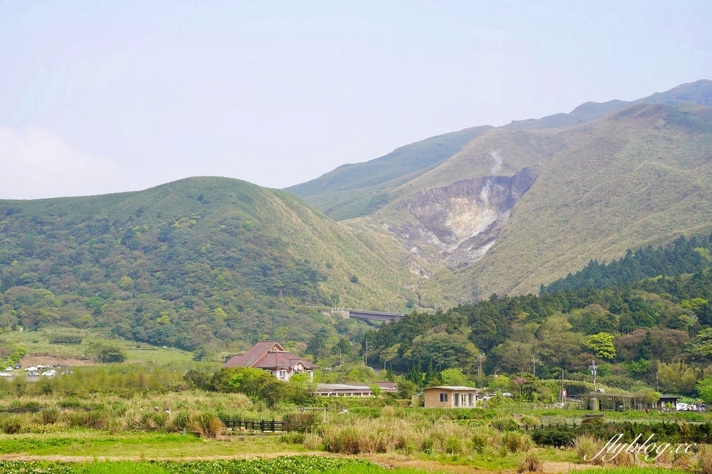 台北北投｜名陽匍休閒農莊，陽明山海芋季開始了，可愛粉紅噗噗車超好拍 @飛天璇的口袋