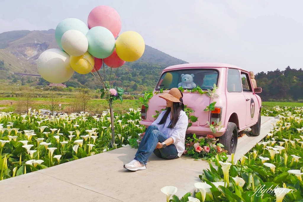 台北北投｜名陽匍休閒農莊，陽明山海芋季開始了，可愛粉紅噗噗車超好拍 @飛天璇的口袋