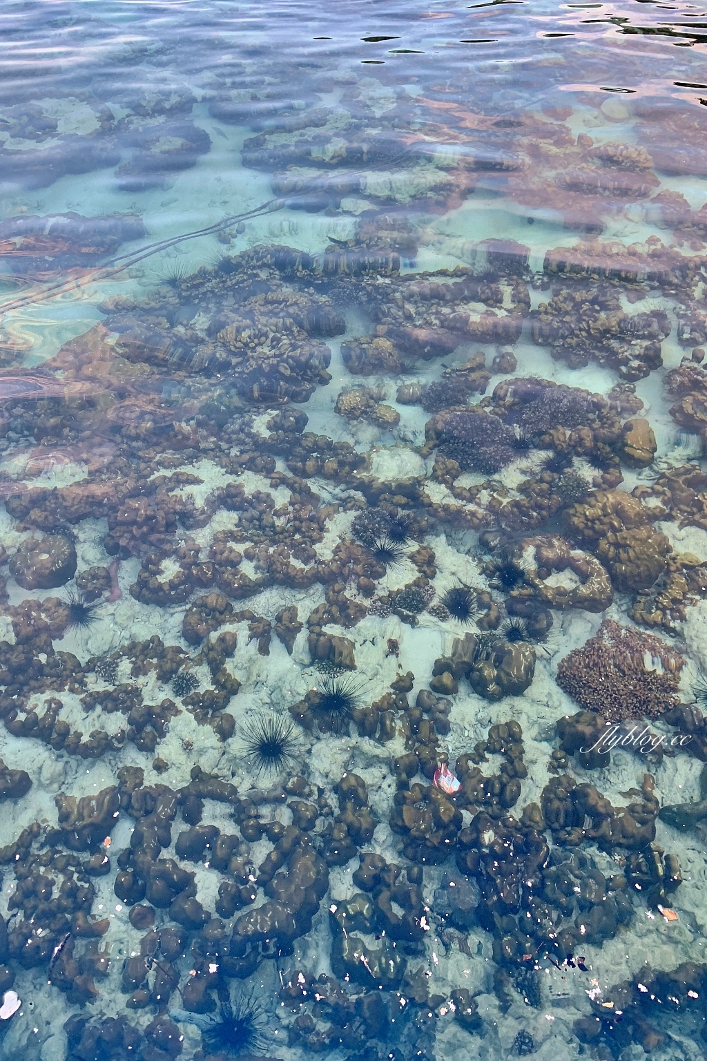 泰國普吉島｜珊瑚島Coral Island．搭乘遊艇前往普吉島渡假盛地，在banana beach享受陽光沙灘比基尼 @飛天璇的口袋