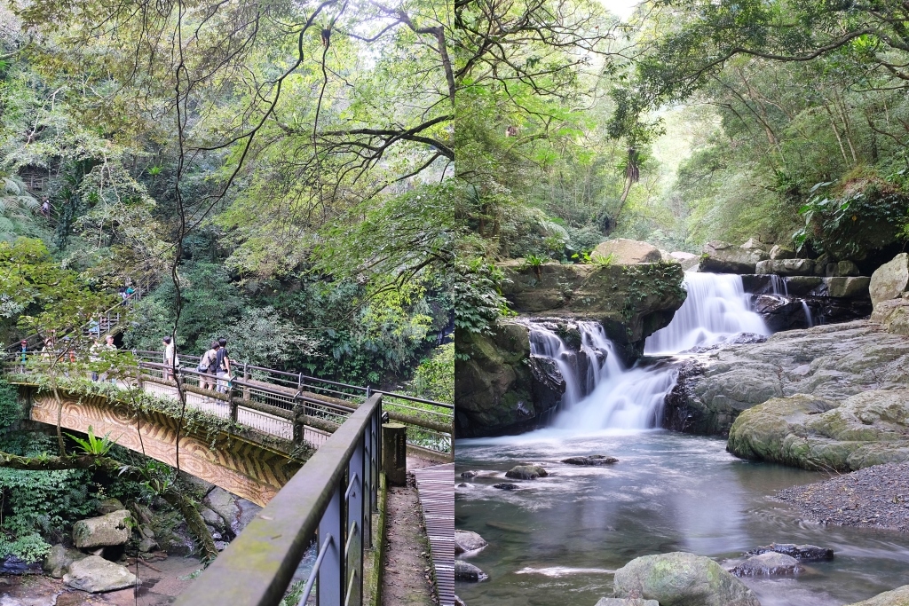 新北三峽｜滿月圓森林遊樂區，適合全家出遊的親子步道，享受芬多精的最佳森林浴場所 @飛天璇的口袋