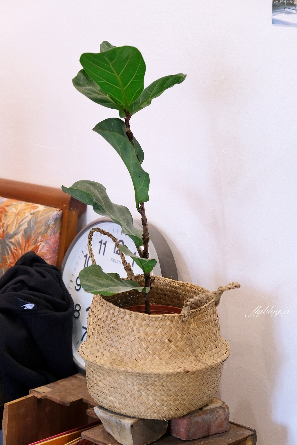 彰化北斗｜沺梪，官舍變成咖啡館，在紅磚小屋品嚐咖啡甜點和客家麻糬 @飛天璇的口袋