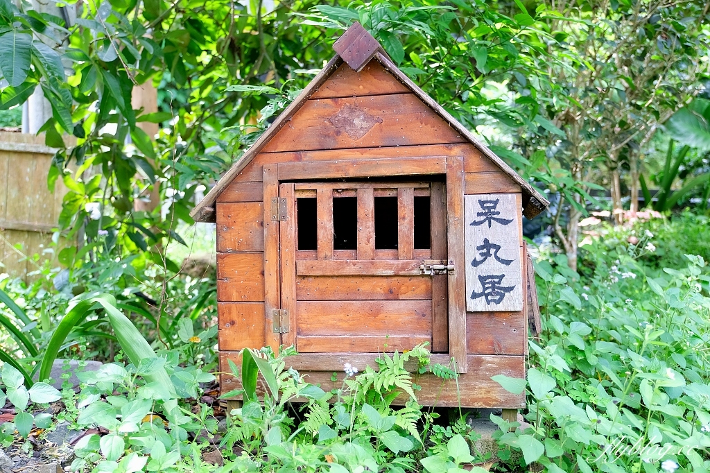 南投漁池｜日月潭湖の怪物咖啡，超可愛的紅龜粿下午茶，綜藝節目營業中拍攝地 @飛天璇的口袋