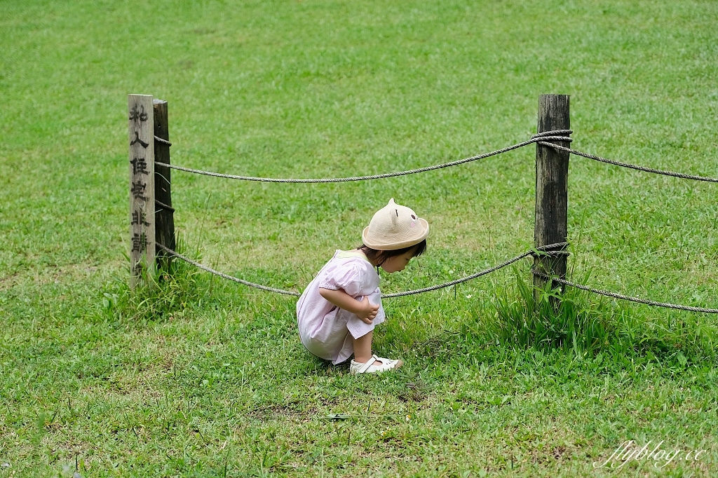 南投漁池|日月潭湖の怪物咖啡,超可愛的紅龜粿下午茶,綜藝節目營業中拍攝地 @飛天璇的口袋 南投漁池|日月潭湖の怪物咖啡,超可愛的紅龜粿下午茶,綜藝節目營業中拍攝地 @飛天璇的口袋