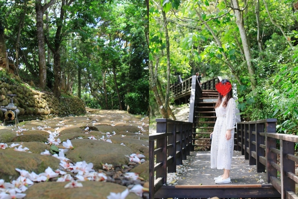 苗栗銅鑼｜銅鑼好客公園．苗栗最美桐花季登場，免費欣賞浪漫的5月雪 @飛天璇的口袋