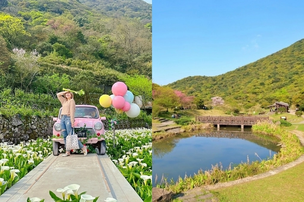 台北景點｜陽明山一日遊．春暖花開陽明山賞花，吃土雞走步道，再到秘境喝下午茶 @飛天璇的口袋