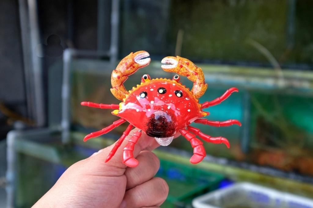 宜蘭蘇澳｜味珍活海鮮，南方澳人氣海鮮餐廳，點餐就免費送生魚片 @飛天璇的口袋