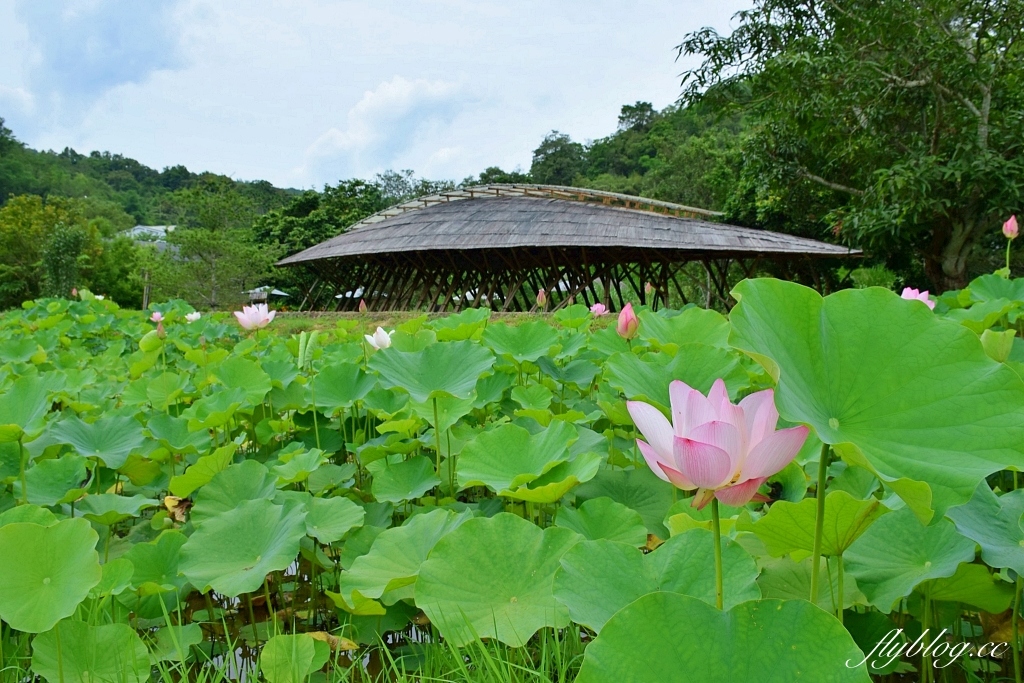 南投旅遊｜埔里2天1夜這樣玩！桃米村高級露營風民宿，走景點吃美食買伴手禮 @飛天璇的口袋