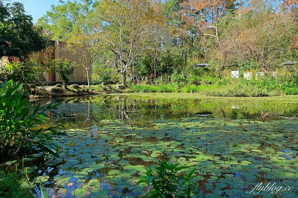 南投埔里｜紙教堂 Paper Dome，桃米村綠色生態旅遊，從日本神戶來的紙教堂 @飛天璇的口袋