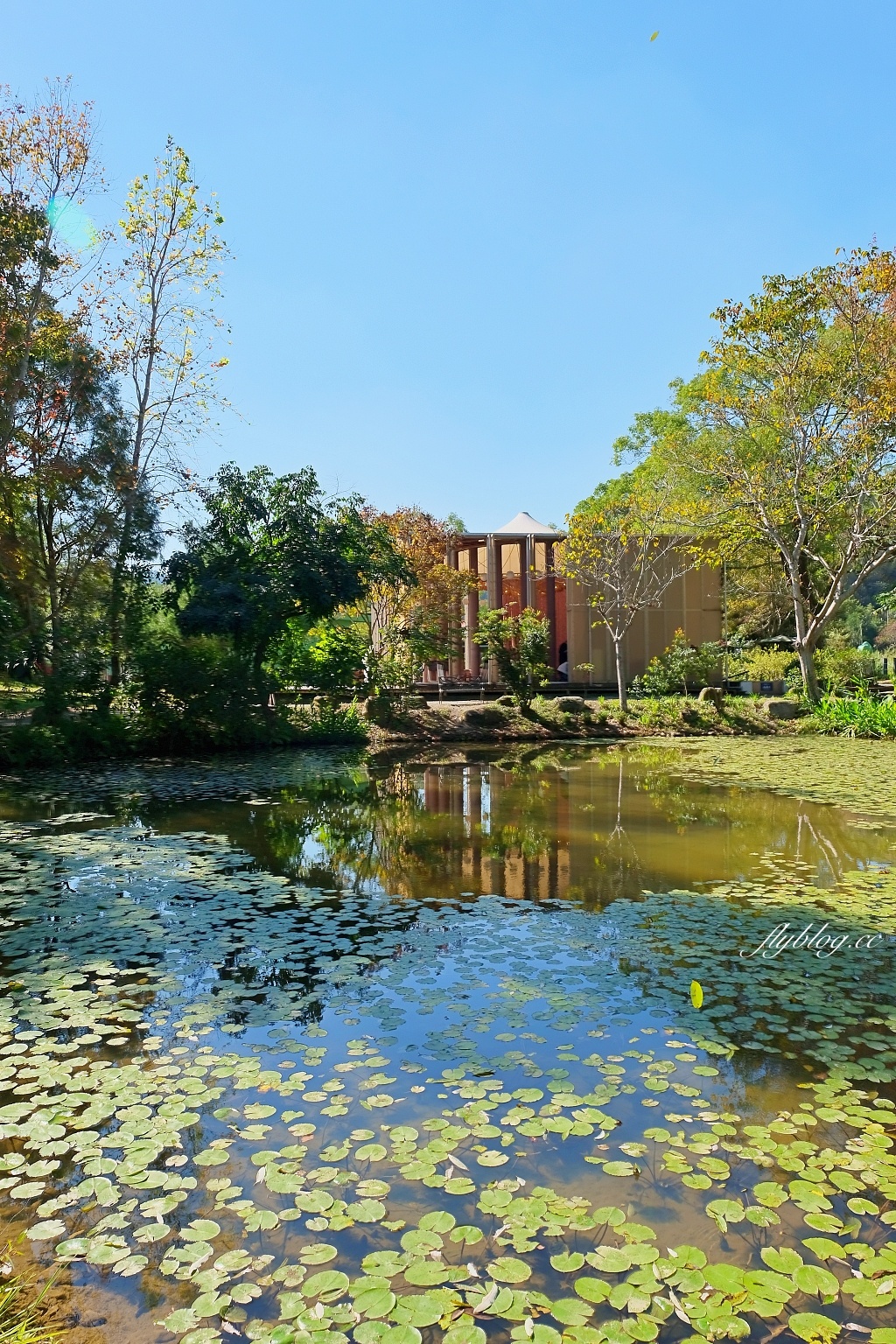 南投埔里｜紙教堂 Paper Dome，桃米村綠色生態旅遊，從日本神戶來的紙教堂 @飛天璇的口袋