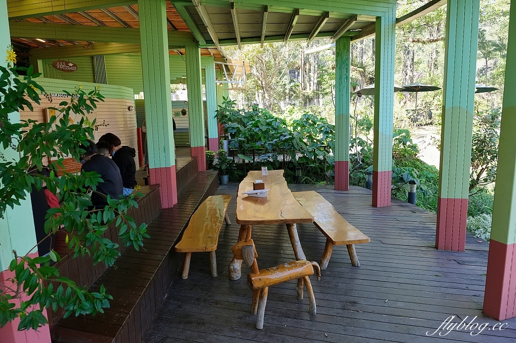 南投埔里｜紙教堂 Paper Dome，桃米村綠色生態旅遊，從日本神戶來的紙教堂 @飛天璇的口袋