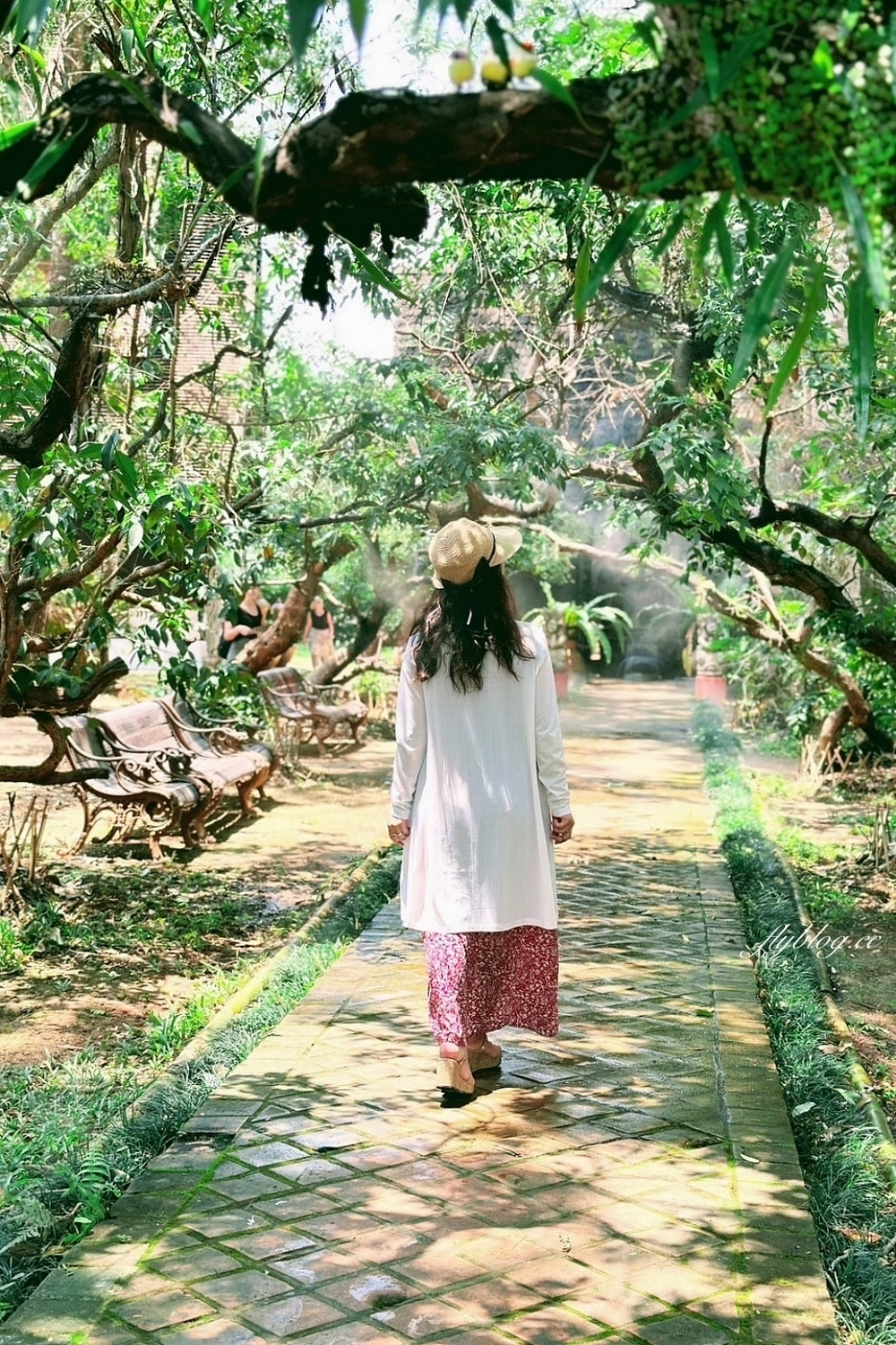泰國清邁｜清邁自由行．清邁6天5夜行程規劃懶人包，美食、景點、住宿總整理 @飛天璇的口袋