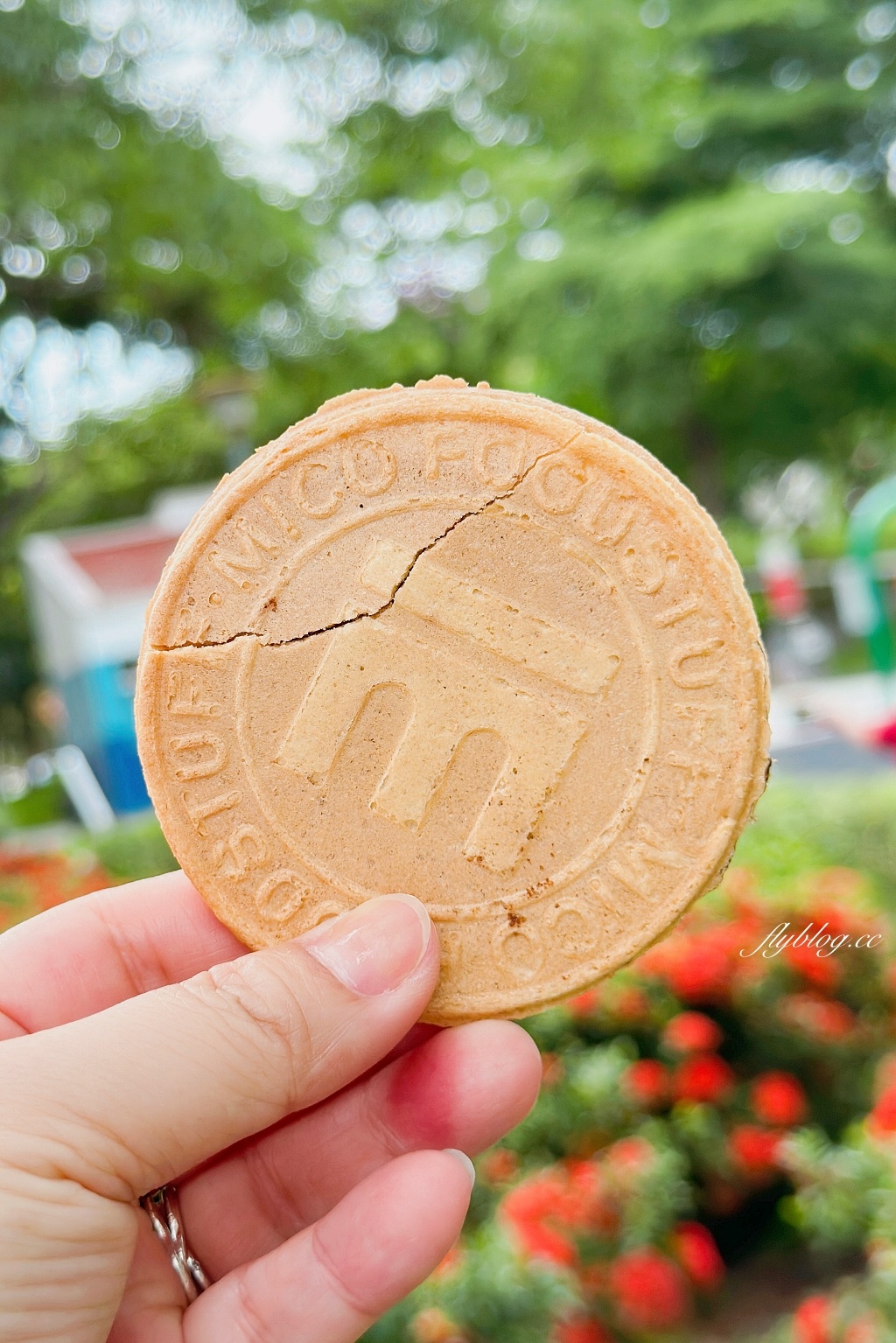 台中南屯｜豐富公園，充滿綠意的共融遊戲場，以穿山甲和樂活樹屋為特色 @飛天璇的口袋