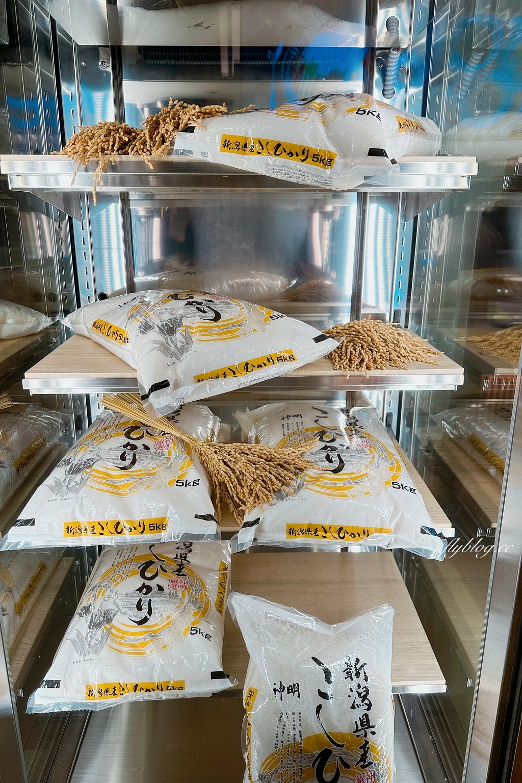 台中東區｜高木和牛食堂．乾杯集團新品牌，日風野菜自助吧吃到飽，LaLaport北館美食(附菜單) @飛天璇的口袋