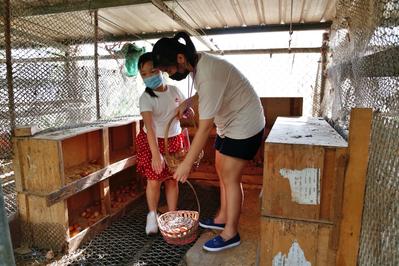 桃園大園｜陽榮生態農場，門票100元抵消費，撿雞蛋、摸蜆仔、釣青蛙、餵動物 @飛天璇的口袋