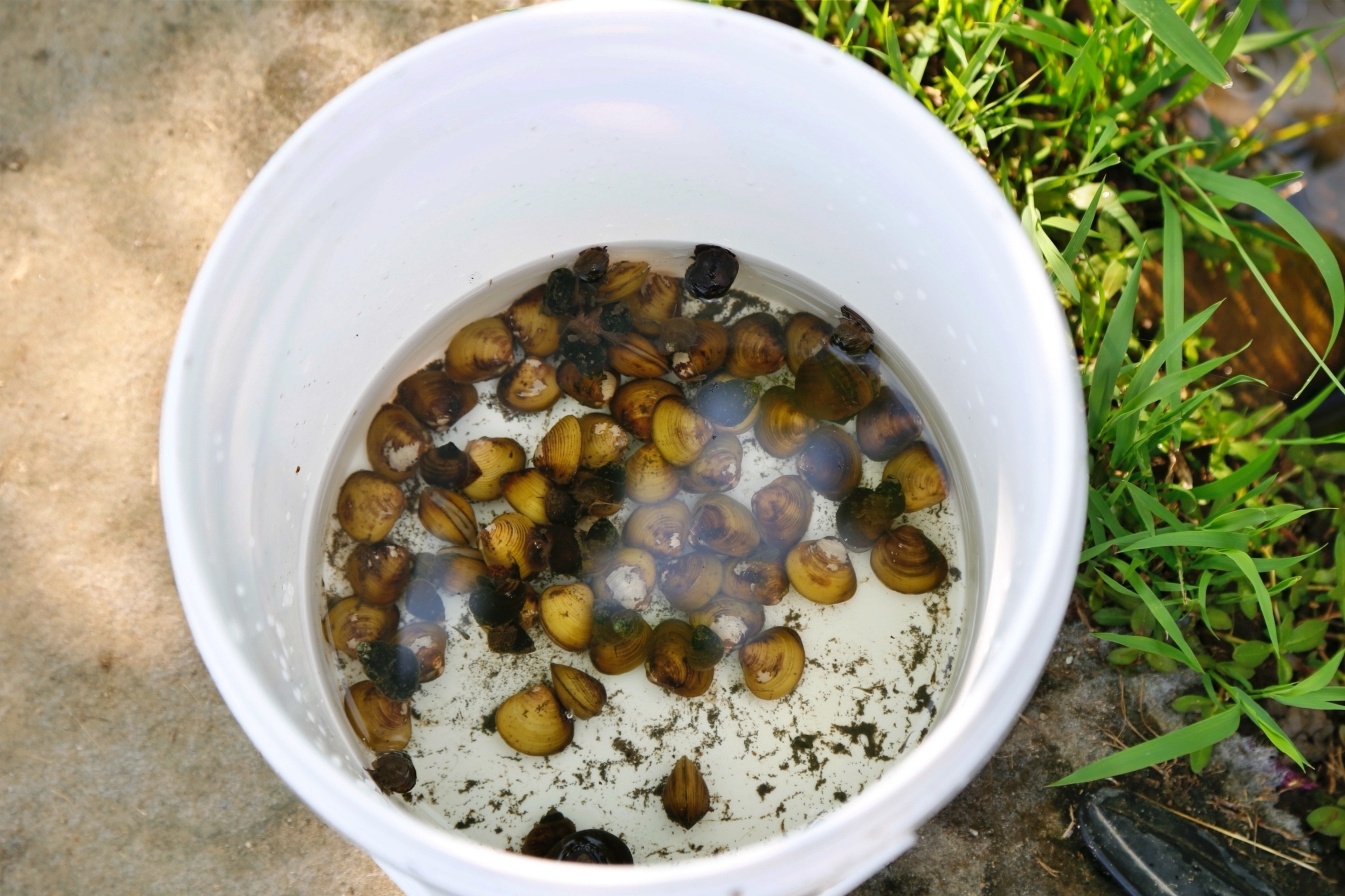 桃園大園|陽榮生態農場,門票100元抵消費,撿雞蛋、摸蜆仔、釣青蛙、餵動物 @飛天璇的口袋 桃園大園|陽榮生態農場,門票100元抵消費,撿雞蛋、摸蜆仔、釣青蛙、餵動物 @飛天璇的口袋