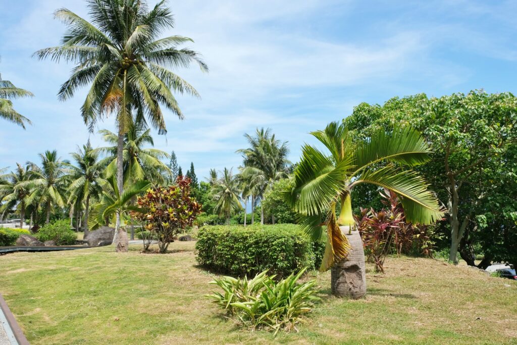 台東旅遊｜台東4天3夜行程規劃，台東這樣玩！美麗蔚藍東海岸盡收眼底 @飛天璇的口袋