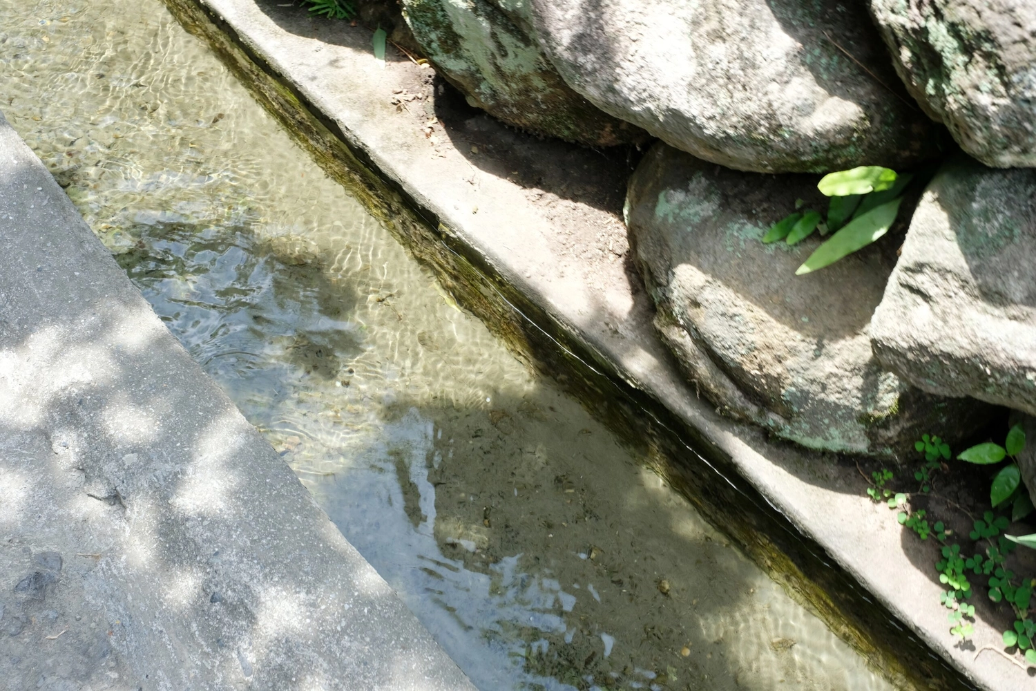台東東河｜水往上流遊憩區，東海岸旅遊景點，水往上流的自然奇景 @飛天璇的口袋