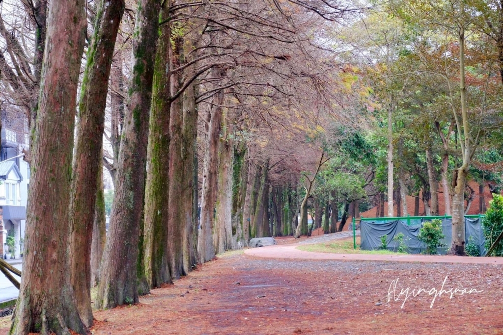 宜蘭旅遊｜宜蘭4天3夜，開車玩宜蘭，民宿包棟最方便，宜蘭4天3夜行程規劃 @飛天璇的口袋