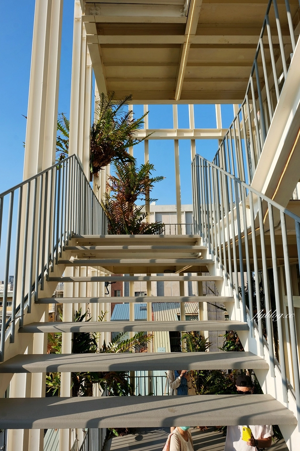 台南中西｜南埕衖事，8層樓森林系玻璃屋建築美學，日本建築大師藤本壯介規劃 @飛天璇的口袋