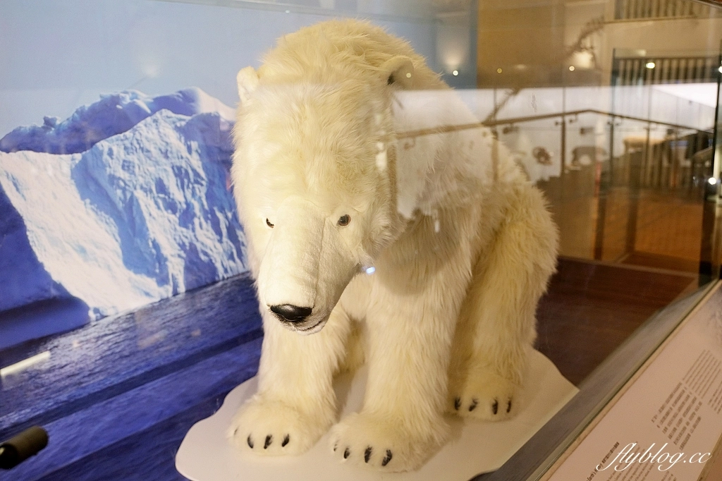 台北中正｜台北凱撒大飯店，台北車站正對面，樓下就是捷運站，交通便利美食林立 @飛天璇的口袋