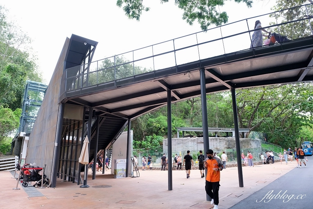 高雄鼓山｜壽山動物園，歷經2年整修重新開幕，暑假期間12歲小朋友免門票 @飛天璇的口袋