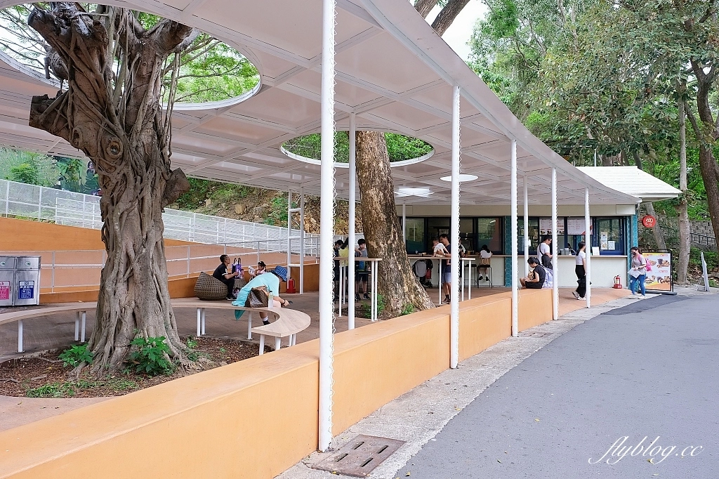 高雄鼓山｜壽山動物園，歷經2年整修重新開幕，暑假期間12歲小朋友免門票 @飛天璇的口袋