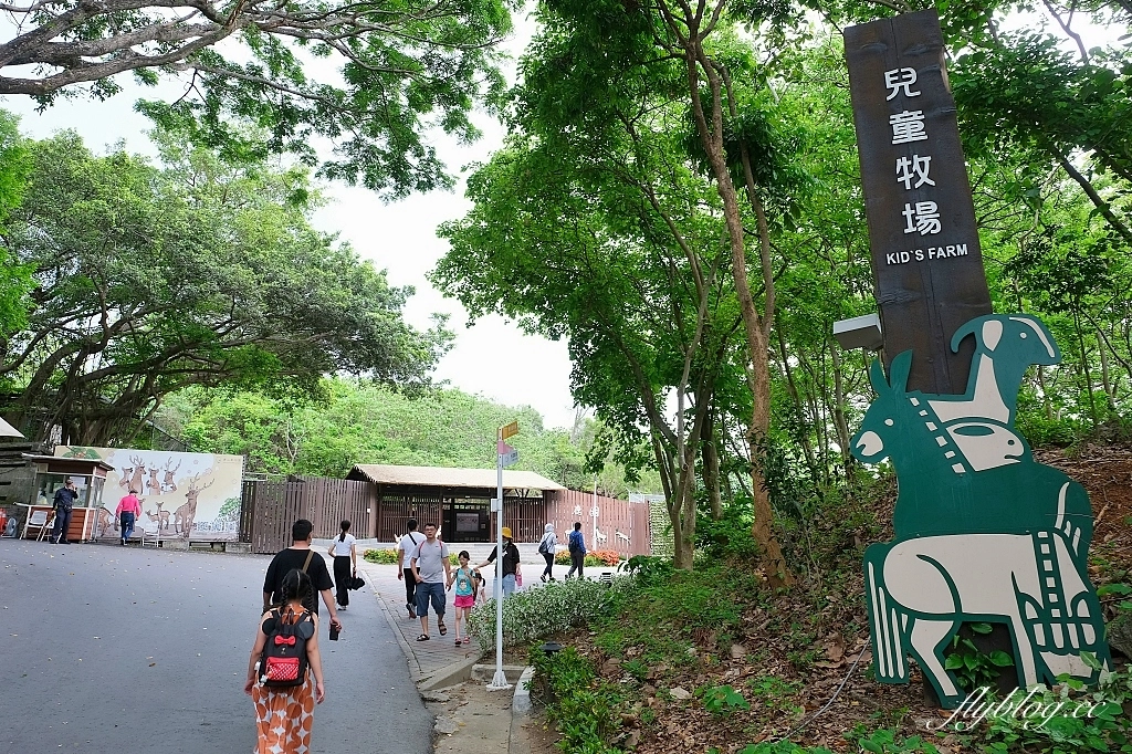 高雄鼓山｜壽山動物園，歷經2年整修重新開幕，暑假期間12歲小朋友免門票 @飛天璇的口袋