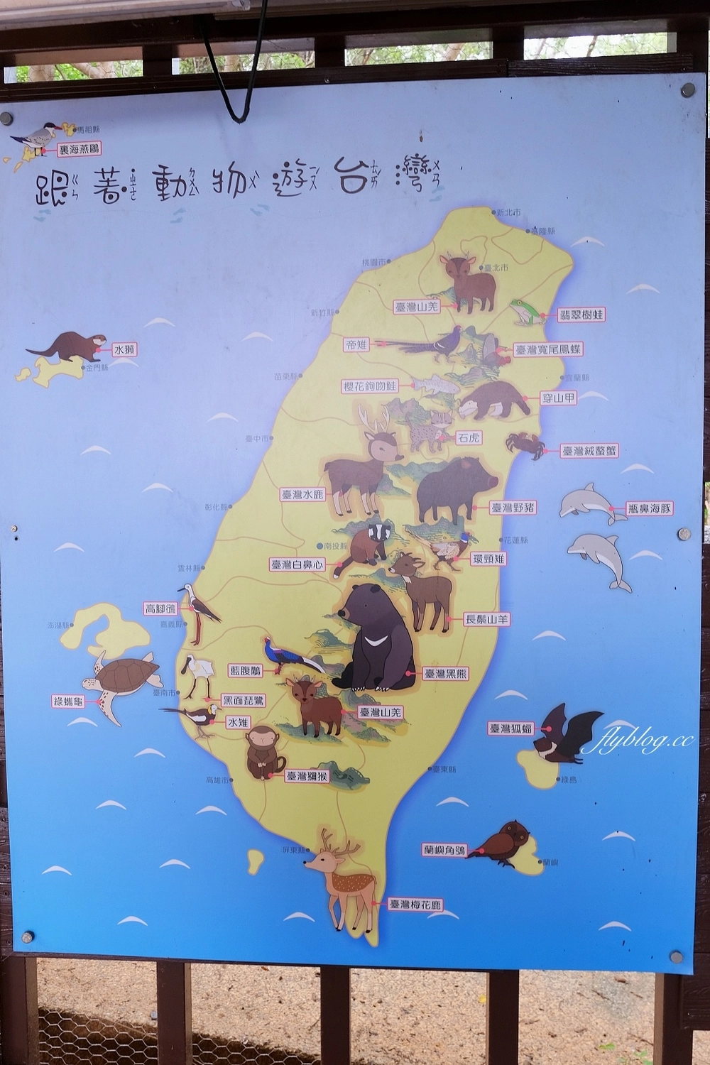 高雄鼓山｜壽山動物園，歷經2年整修重新開幕，暑假期間12歲小朋友免門票 @飛天璇的口袋