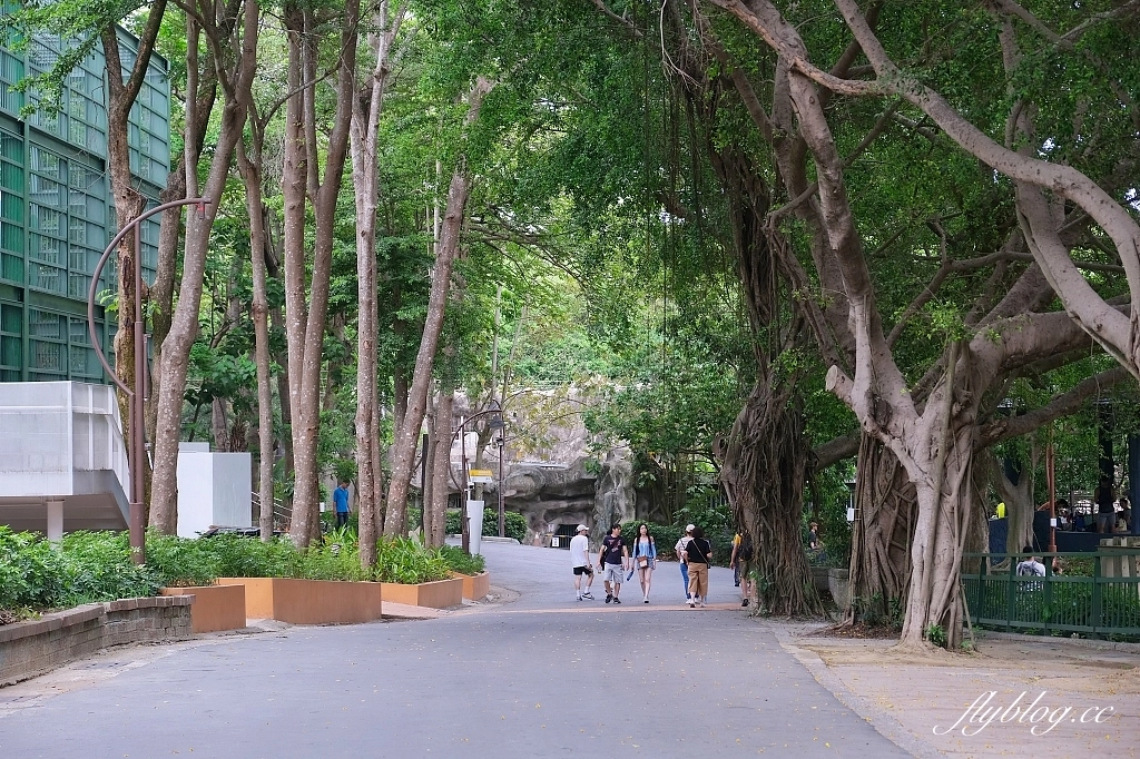 高雄鼓山｜壽山動物園，歷經2年整修重新開幕，暑假期間12歲小朋友免門票 @飛天璇的口袋