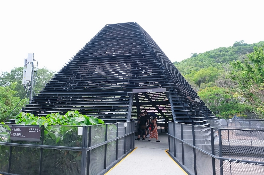 高雄鼓山｜壽山動物園，歷經2年整修重新開幕，暑假期間12歲小朋友免門票 @飛天璇的口袋