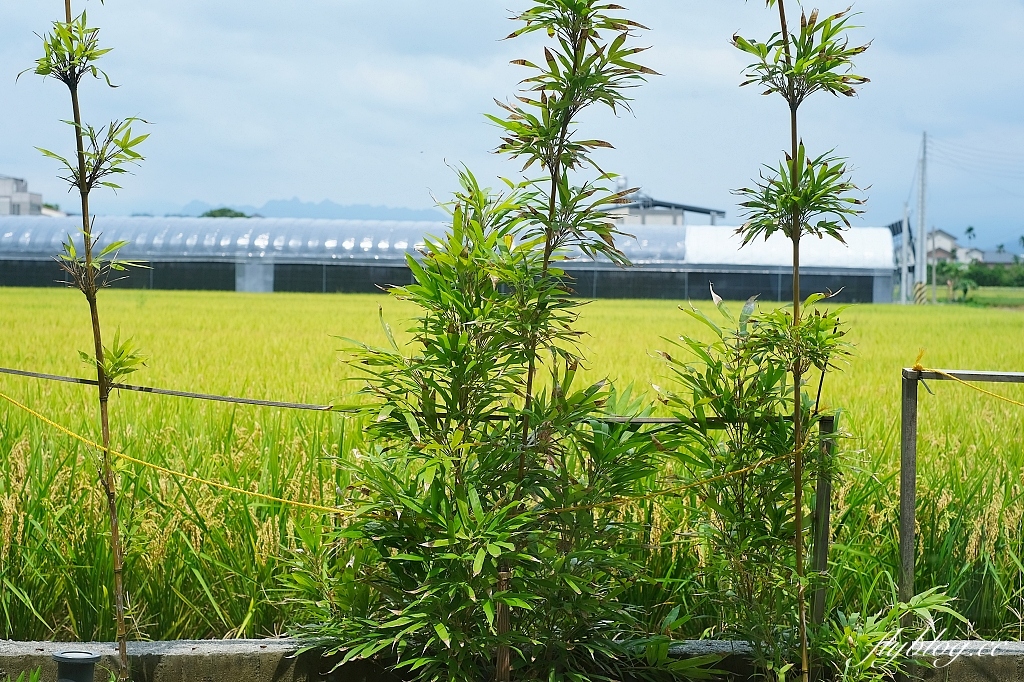 南投草屯｜唯真燒肉，座落於草屯田野間，融入泰式風味的燒肉餐廳 @飛天璇的口袋