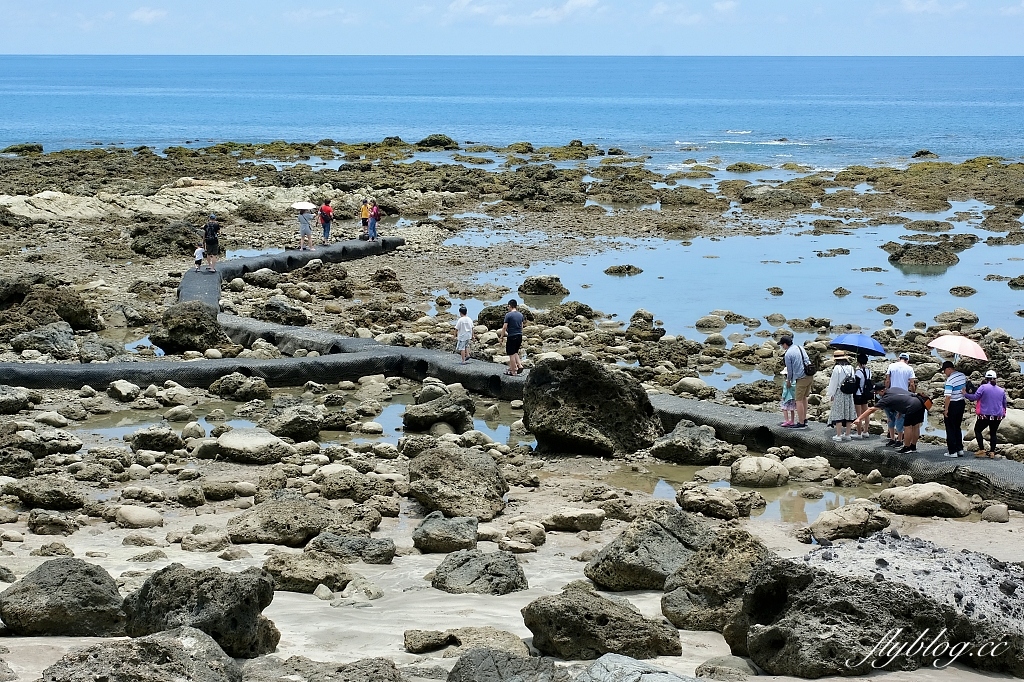 台東東河｜富山護漁區，觀賞潮間帶自然生態，沿著棧道直通湛藍大海 @飛天璇的口袋