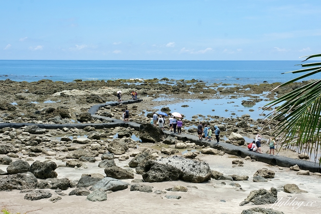 台東東河｜富山護漁區，觀賞潮間帶自然生態，沿著棧道直通湛藍大海 @飛天璇的口袋