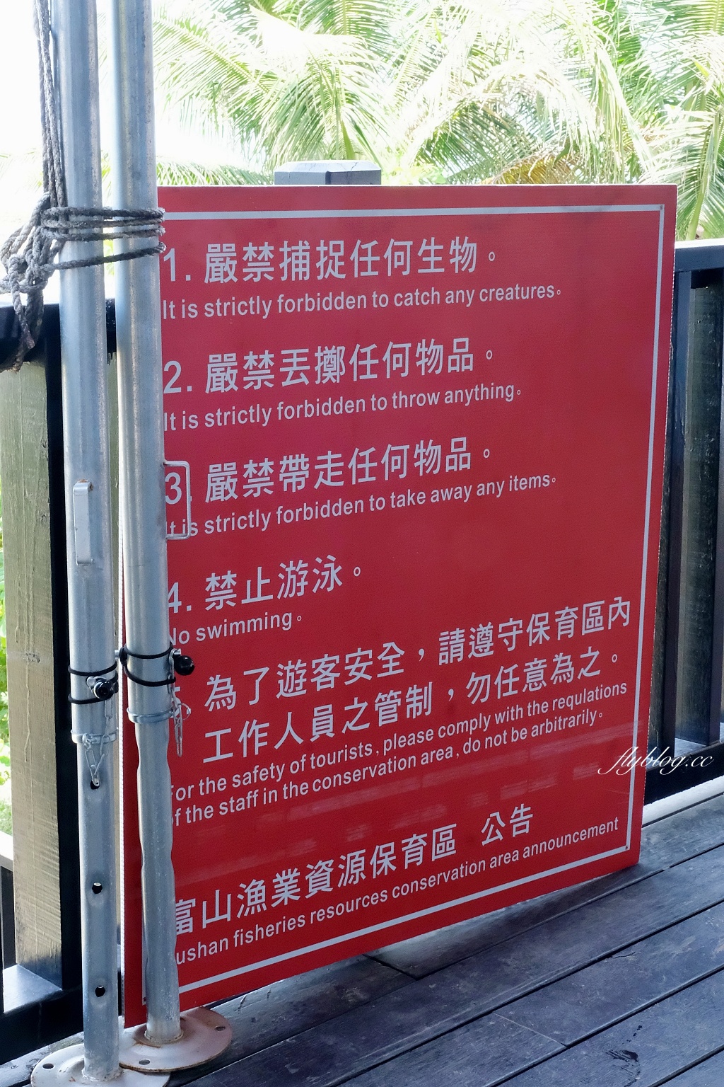 台東東河｜富山護漁區，觀賞潮間帶自然生態，沿著棧道直通湛藍大海 @飛天璇的口袋