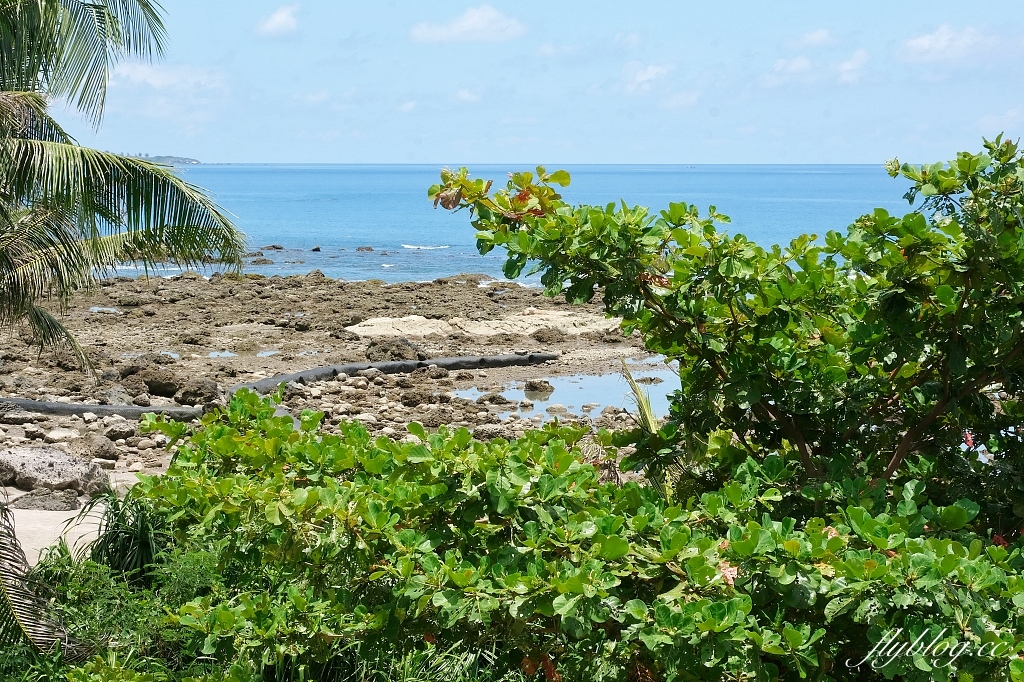 台東東河｜富山護漁區，觀賞潮間帶自然生態，沿著棧道直通湛藍大海 @飛天璇的口袋