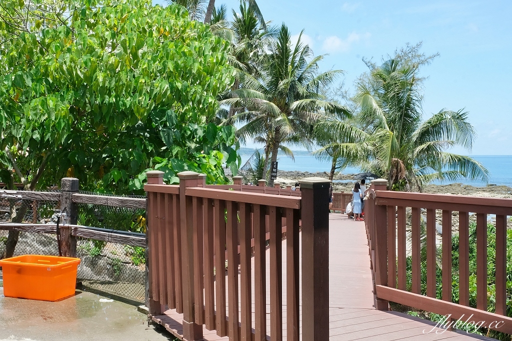 台東東河｜富山護漁區，觀賞潮間帶自然生態，沿著棧道直通湛藍大海 @飛天璇的口袋
