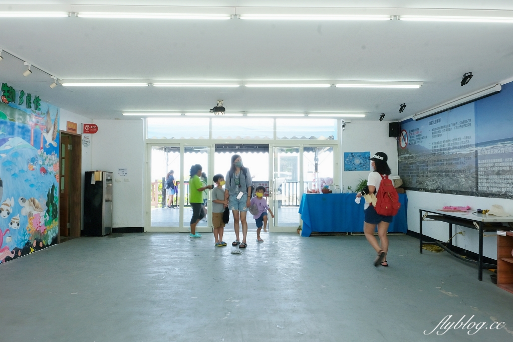 台東東河｜富山護漁區，觀賞潮間帶自然生態，沿著棧道直通湛藍大海 @飛天璇的口袋