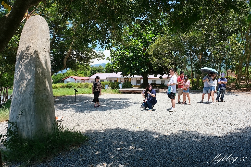 台東池上｜伯朗大道，台東最夯的打卡點天堂之路，男神金城武拍攝廣告的金城武樹 @飛天璇的口袋