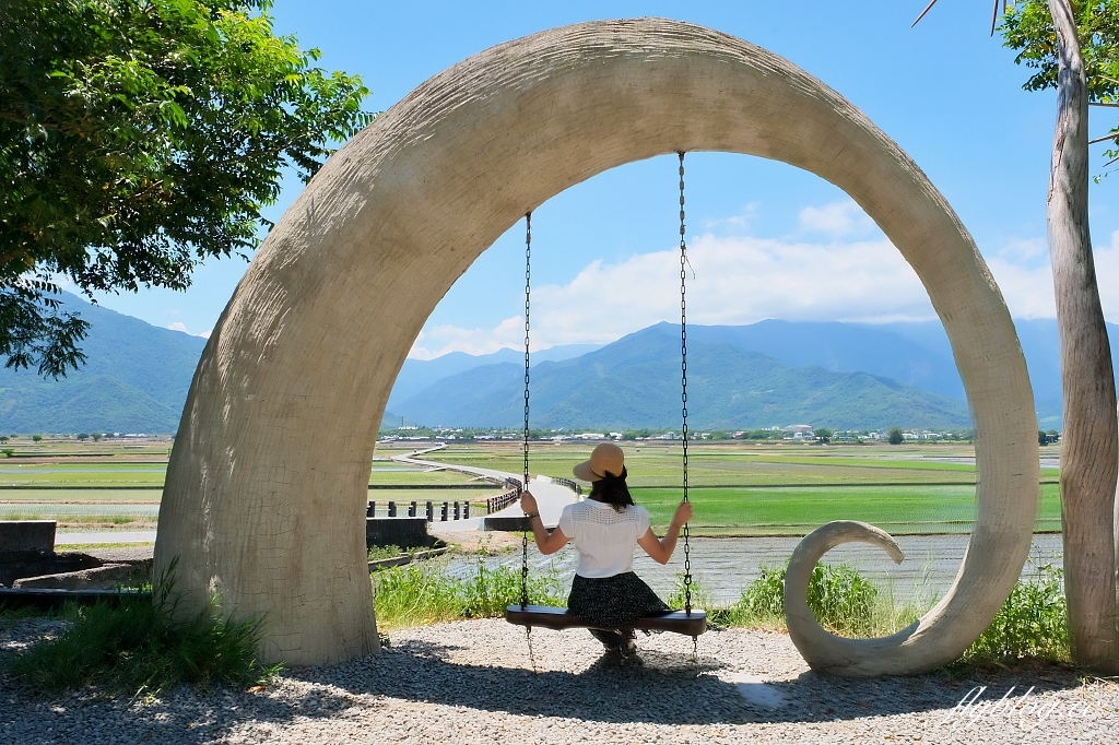 台東池上｜伯朗大道，台東最夯的打卡點天堂之路，男神金城武拍攝廣告的金城武樹 @飛天璇的口袋