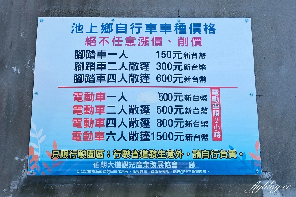 台東池上｜伯朗大道，台東最夯的打卡點天堂之路，男神金城武拍攝廣告的金城武樹 @飛天璇的口袋