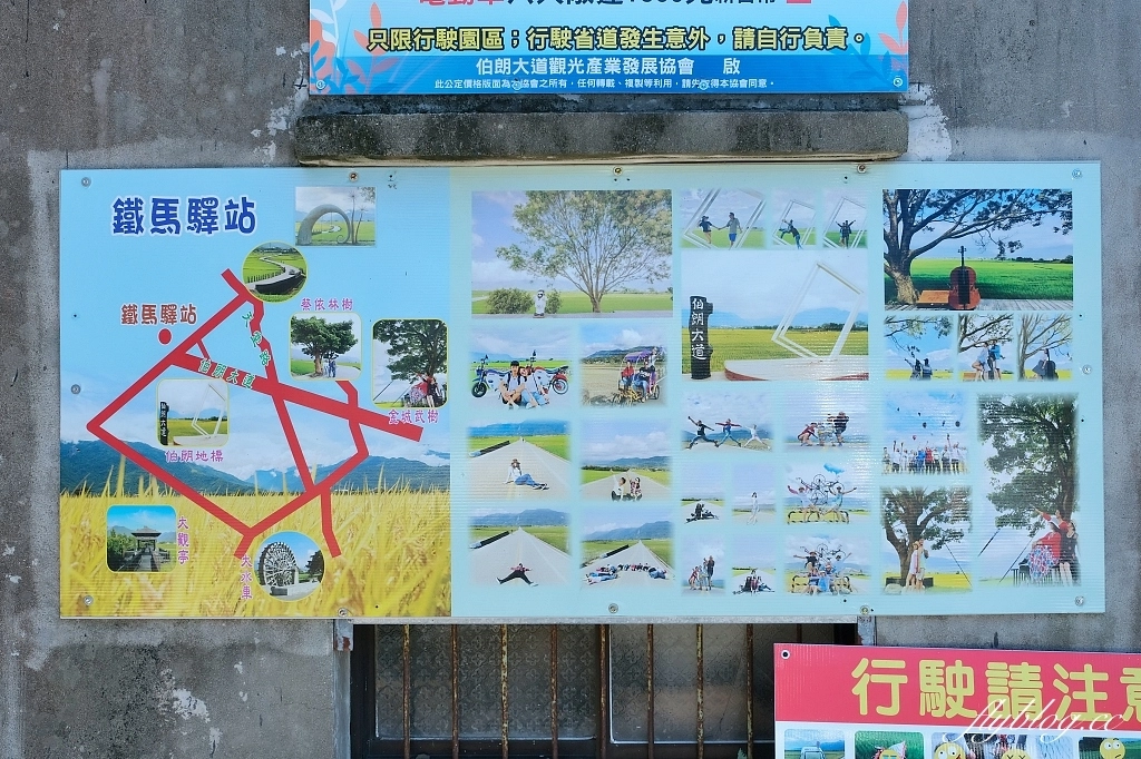 台東池上｜伯朗大道，台東最夯的打卡點天堂之路，男神金城武拍攝廣告的金城武樹 @飛天璇的口袋