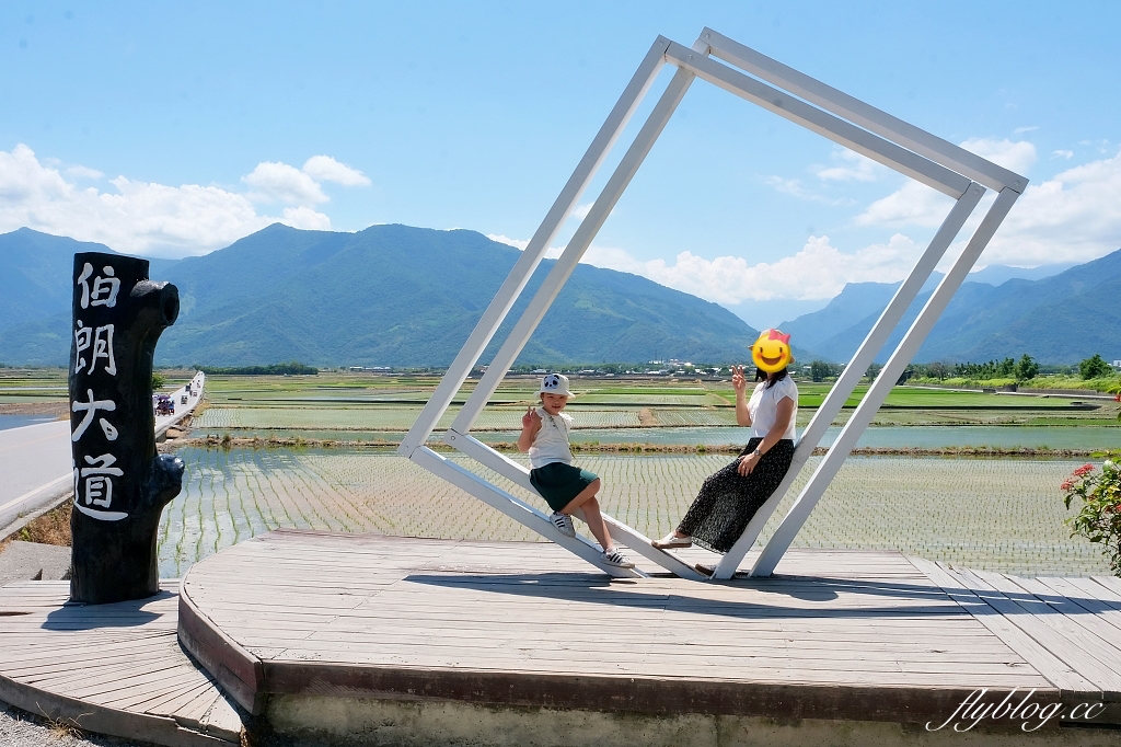 台東池上｜伯朗大道，台東最夯的打卡點天堂之路，男神金城武拍攝廣告的金城武樹 @飛天璇的口袋