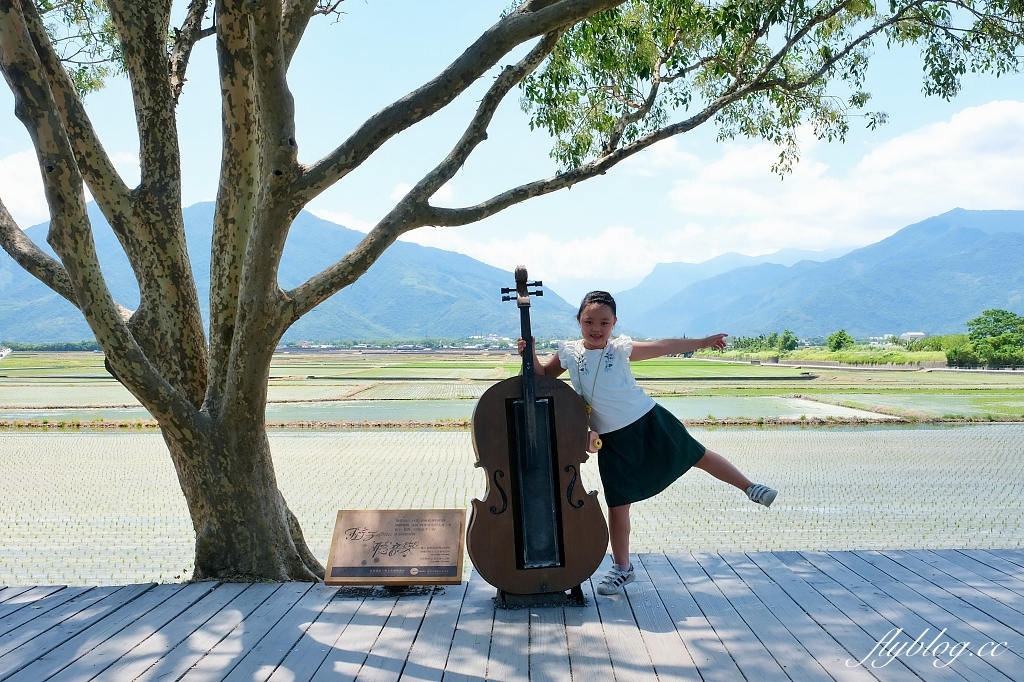 台東池上｜伯朗大道，台東最夯的打卡點天堂之路，男神金城武拍攝廣告的金城武樹 @飛天璇的口袋