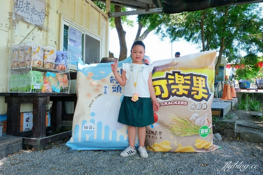 台東池上｜伯朗大道，台東最夯的打卡點天堂之路，男神金城武拍攝廣告的金城武樹 @飛天璇的口袋