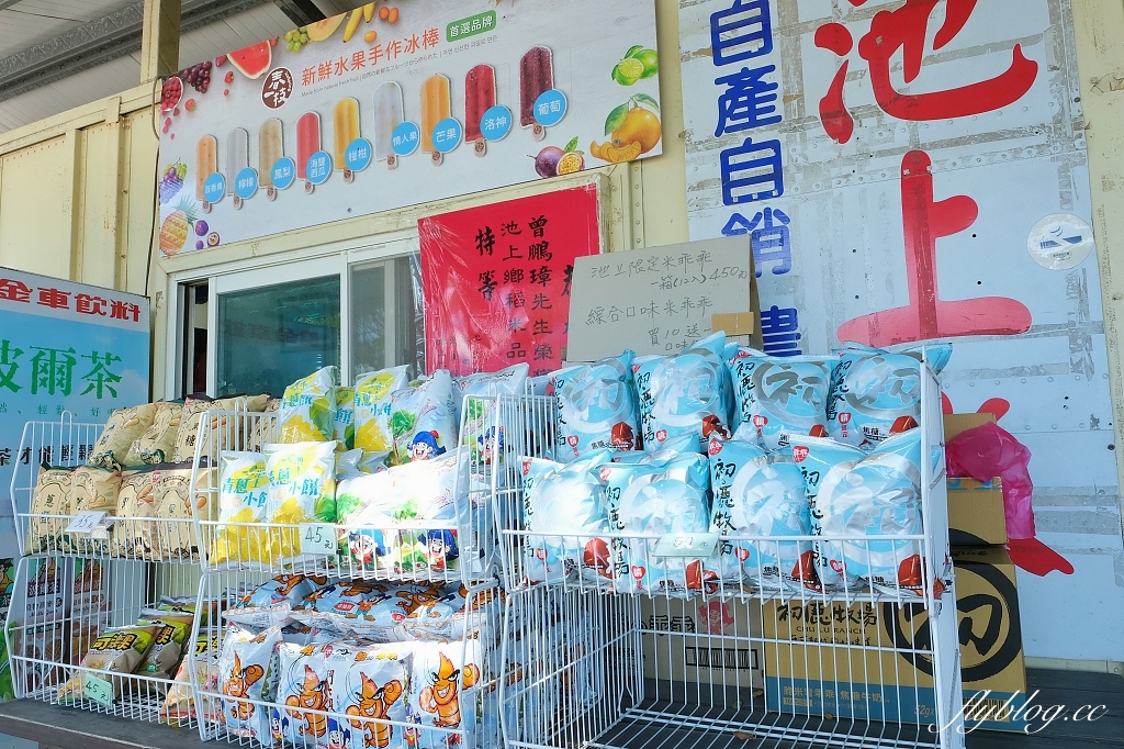 台東池上｜伯朗大道，台東最夯的打卡點天堂之路，男神金城武拍攝廣告的金城武樹 @飛天璇的口袋