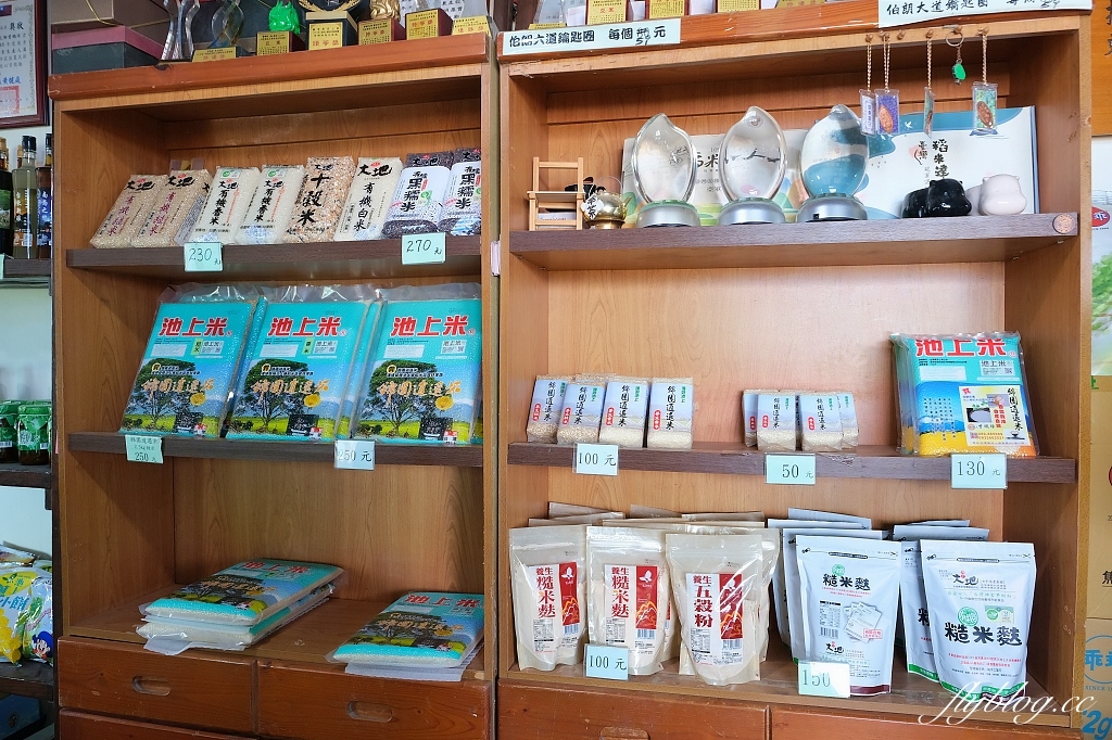 台東池上｜伯朗大道，台東最夯的打卡點天堂之路，男神金城武拍攝廣告的金城武樹 @飛天璇的口袋