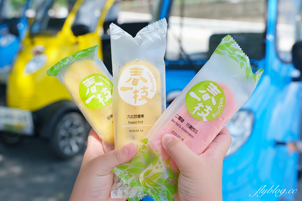 台東池上｜伯朗大道，台東最夯的打卡點天堂之路，男神金城武拍攝廣告的金城武樹 @飛天璇的口袋