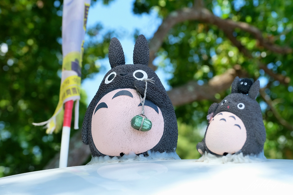 台東池上｜伯朗大道，台東最夯的打卡點天堂之路，男神金城武拍攝廣告的金城武樹 @飛天璇的口袋