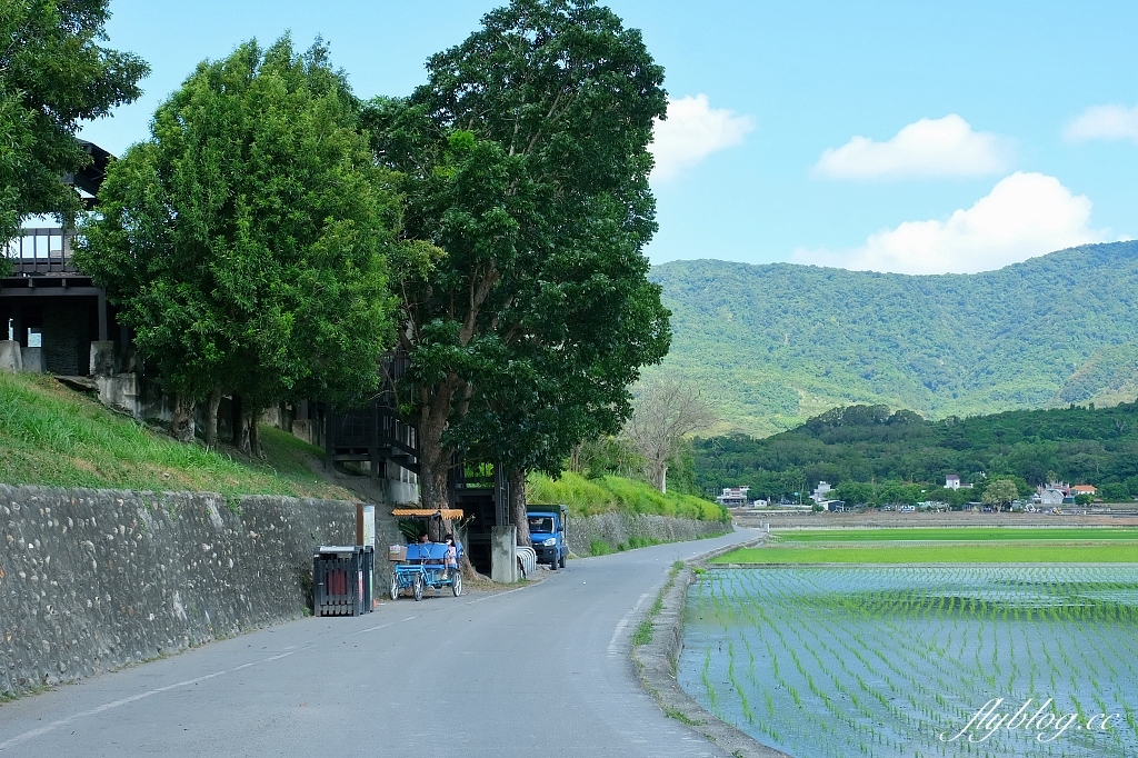 台東池上｜伯朗大道，台東最夯的打卡點天堂之路，男神金城武拍攝廣告的金城武樹 @飛天璇的口袋